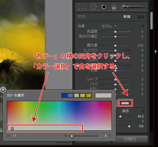 一部だけカラーに編集する方法 Lightroom 上級 Kumishashin 組写真 株式会社thanks