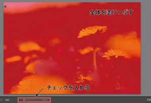 一部だけカラーに編集する方法 Lightroom 上級 Kumishashin 組写真 株式会社thanks